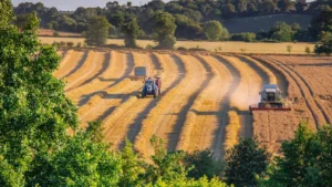 «Sans véritable politique de préservation des ressources en eau, il ne peut y avoir d’agriculture viable»